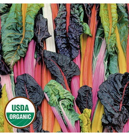 Seed Savers Swiss Chard - Five Color Silverbeet (organic)