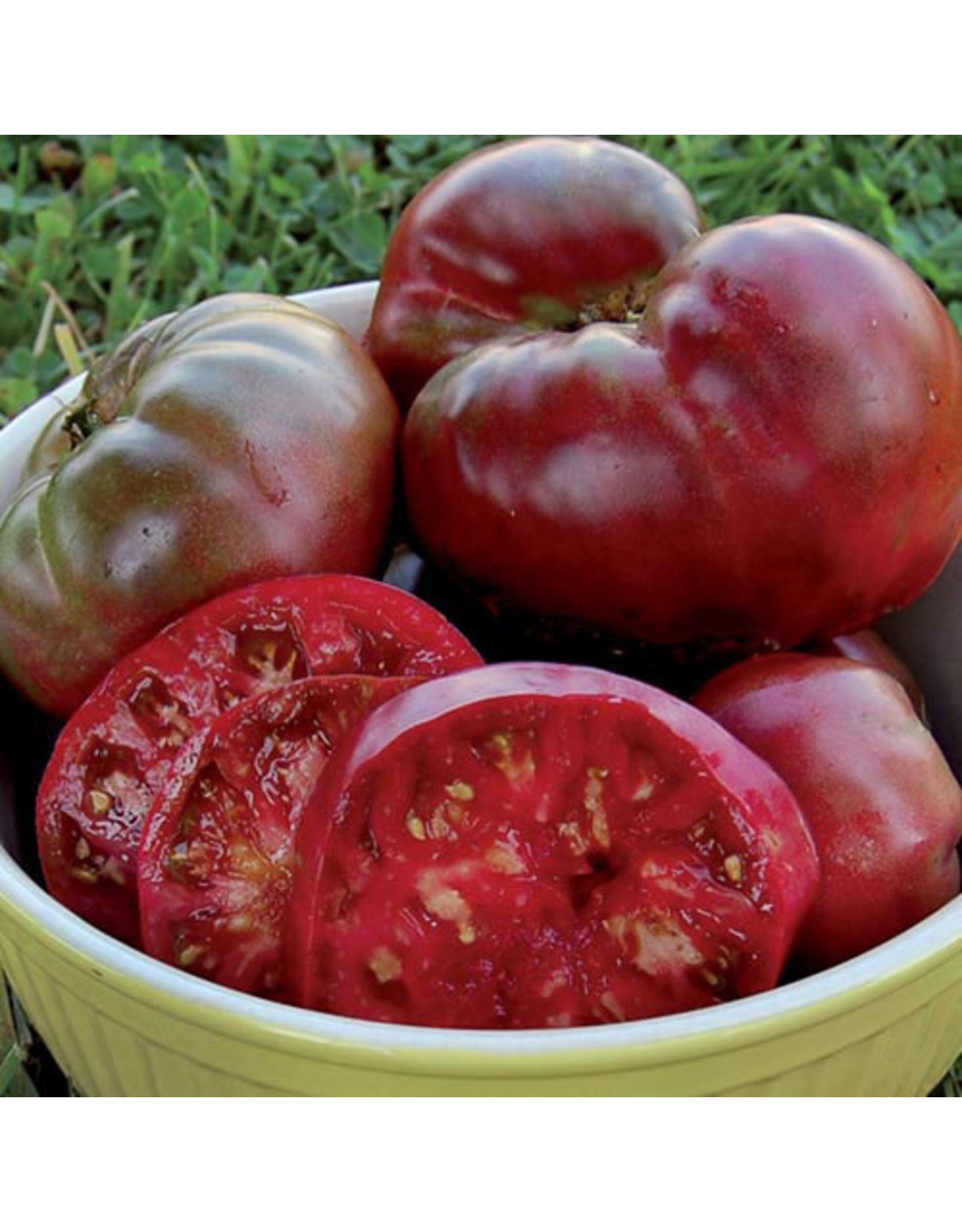 Seed Savers Tomato - Black Krim