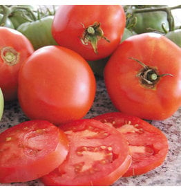 Seed Savers Tomato - Brandywine (Red) (organic)