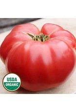 Seed Savers Tomato - German Pink (organic)