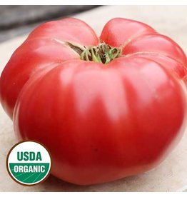 Seed Savers Tomato - German Pink (organic)