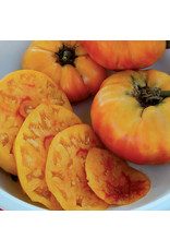 Seed Savers Tomato - Gold Medal