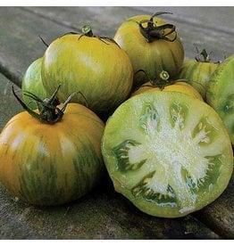 Seed Savers Tomato - Green Zebra