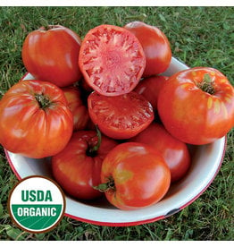 Seed Savers Tomato - Italian Heirloom (organic)