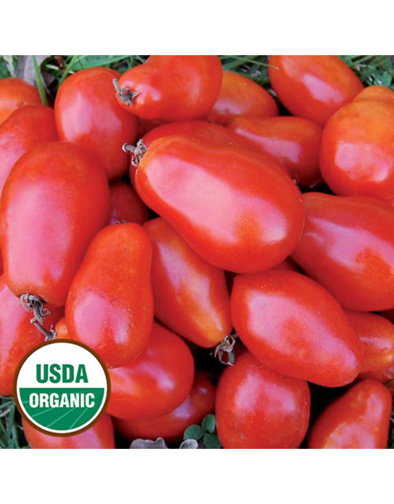 Seed Savers Tomato - Martino's Roma (organic)