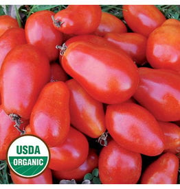 Seed Savers Tomato - Martino's Roma (organic)