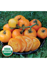 Seed Savers Tomato - Moonglow (organic)