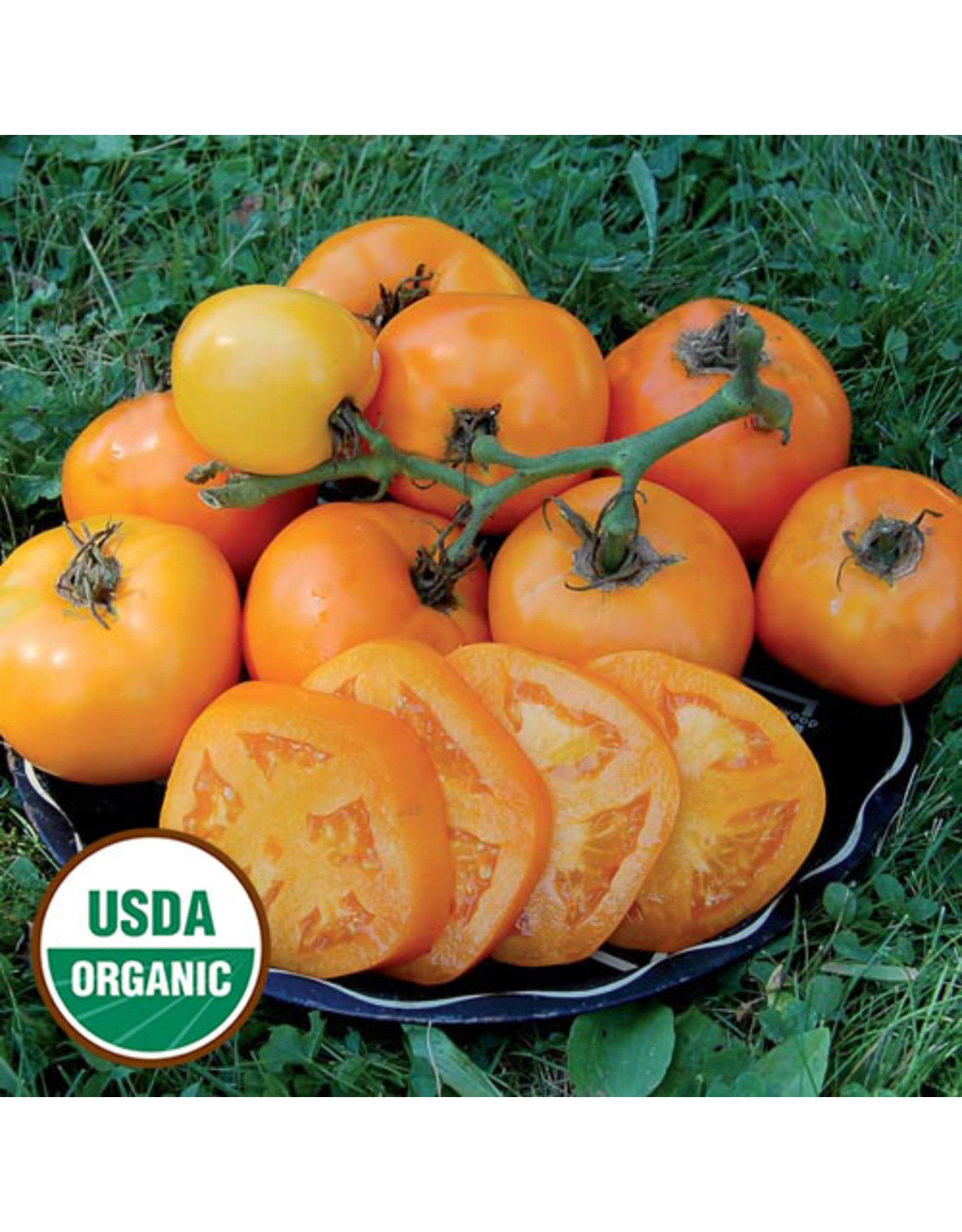 Seed Savers Tomato - Moonglow (organic)
