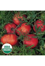 Seed Savers Tomato - Silvery Fir Tree (organic)