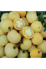 Seed Savers Tomato - Wapsipinicon Peach