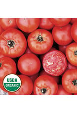 Seed Savers Tomato - Wisconsin 55 (organic)