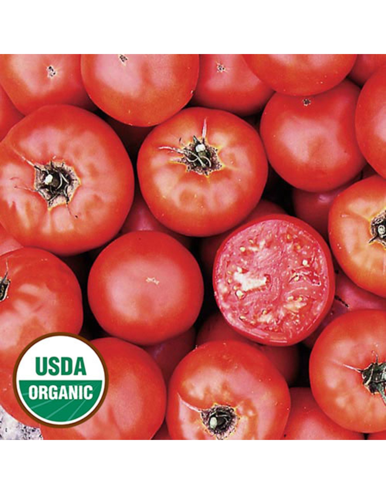 Seed Savers Tomato - Wisconsin 55 (organic)