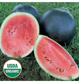Seed Savers Watermelon - Blacktail Mountain (organic)