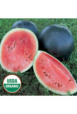 Seed Savers Watermelon - Golden Midget