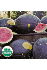 Seed Savers Watermelon - Moon & Stars (Van Doren) (organic)