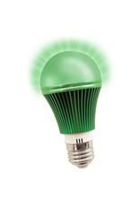 AgroLED Lamps AgroLED Green LED Night Light - 6 Watt