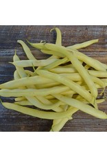 Seed Savers Bean - Pencil Pod Golden Wax