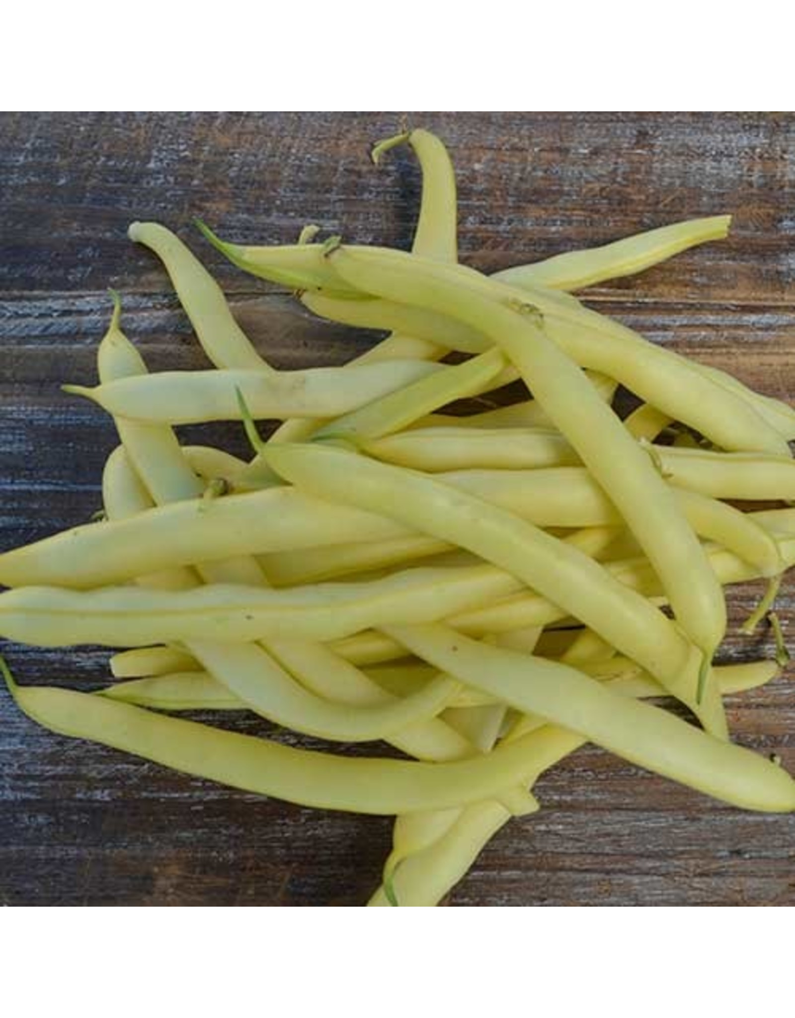 Seed Savers Bean - Pencil Pod Golden Wax