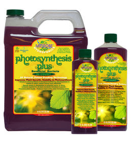 Microbe Life Hydro Microbe Life Photosynthesis Plus, 16 oz