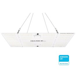 IONFRAME EVO3 Commercial LED Grow Light 280W - Brew & Grow Hydroponics and  Homebrewing Supplies of Chicagoland