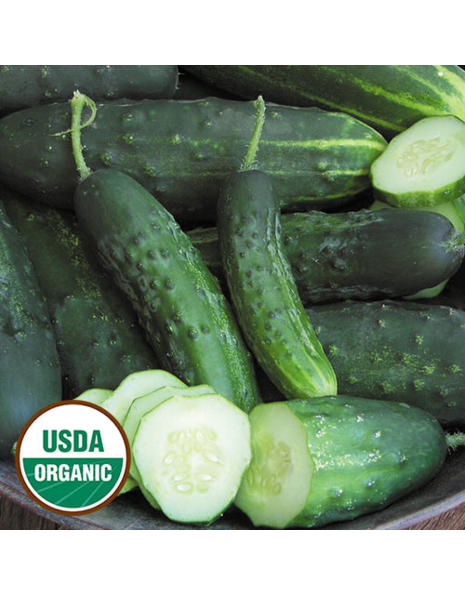 Seed Savers Cucumber - Early Fortune (organic)