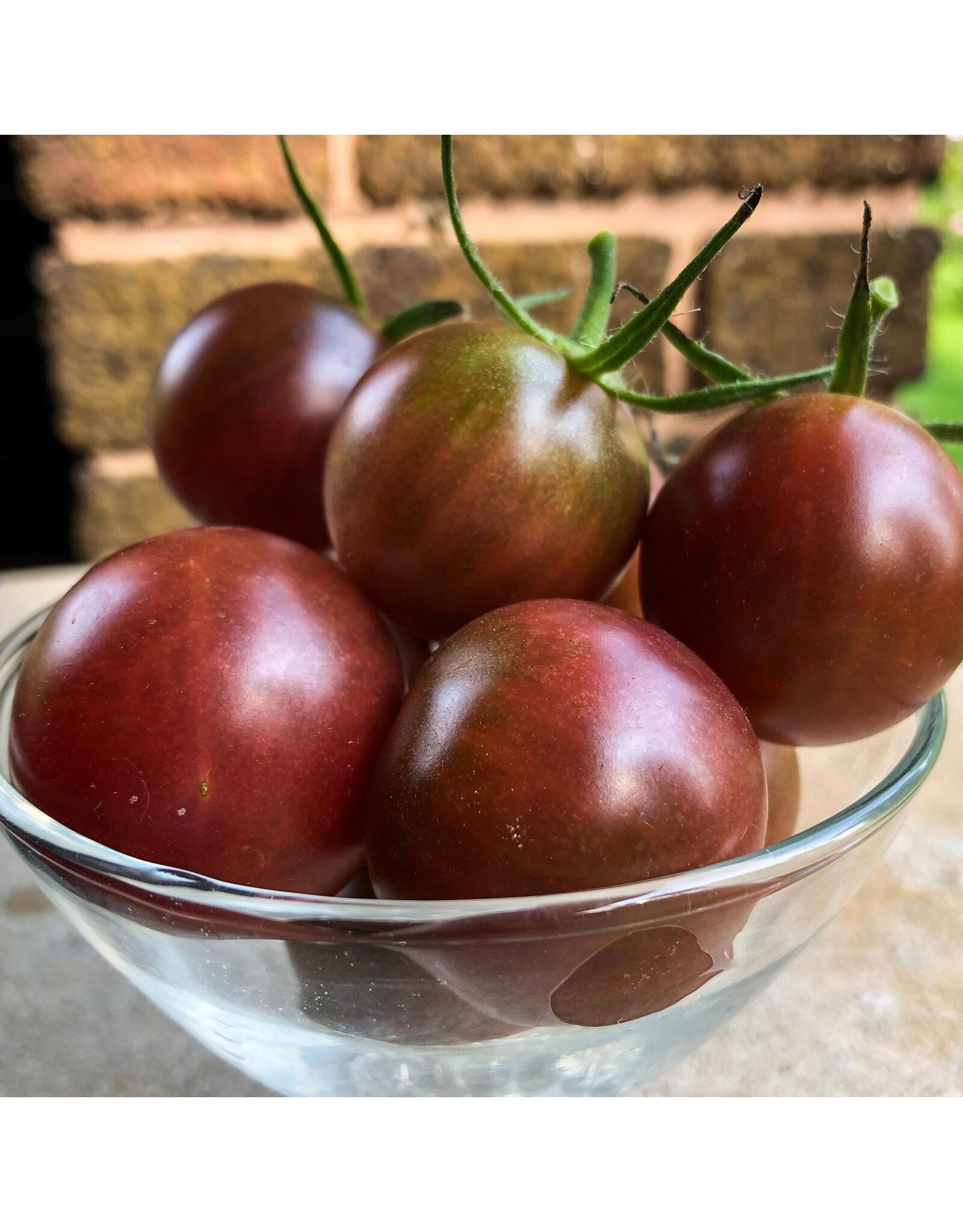 Seed Savers Tomato - Chocolate Cherry