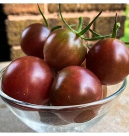 Seed Savers Tomato - Chocolate Cherry