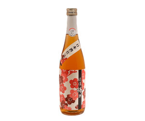 sake-ota-shuzo-dokan-umeshu-