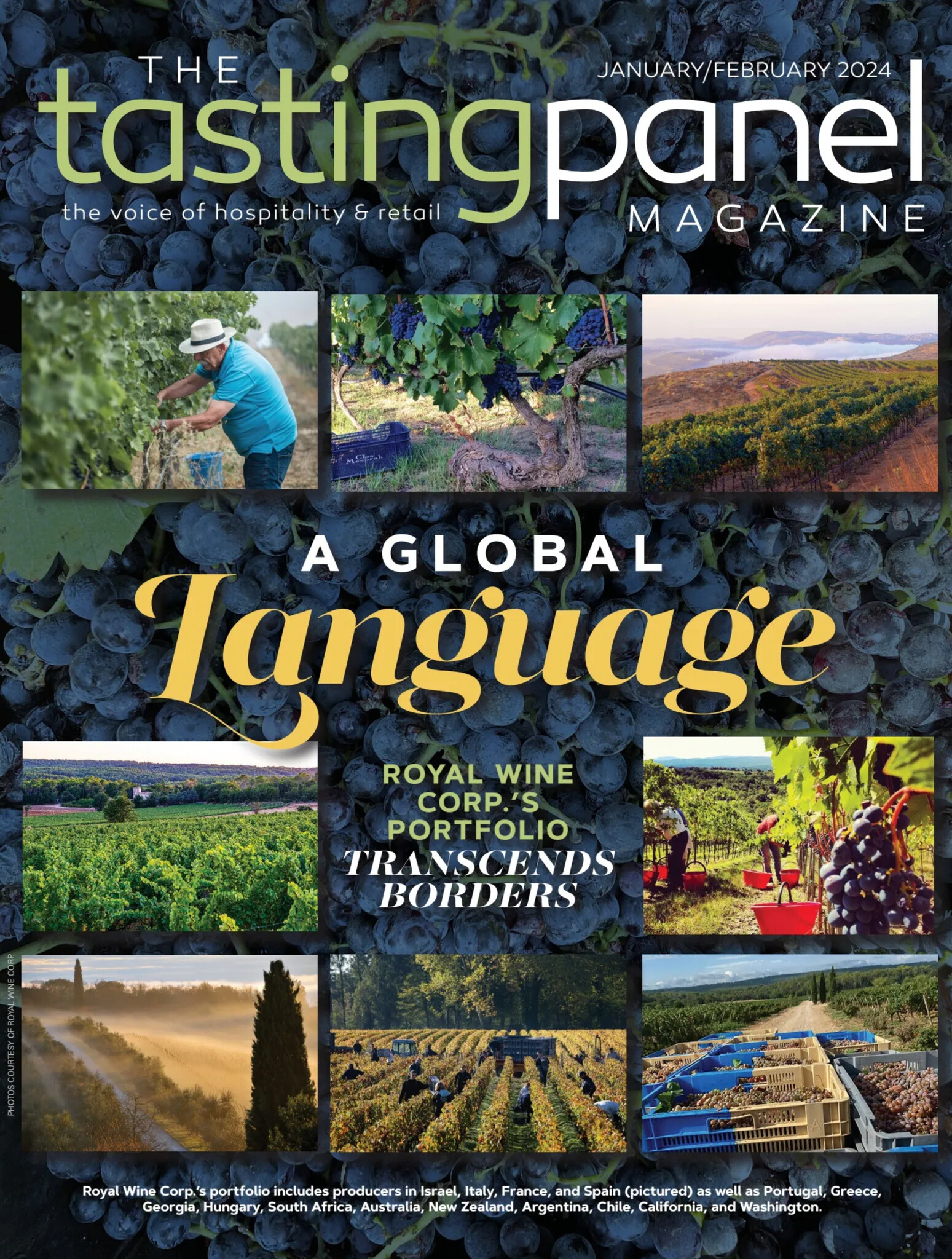 The Tasting Panel - Tim Buzinski talks about navigating what's next