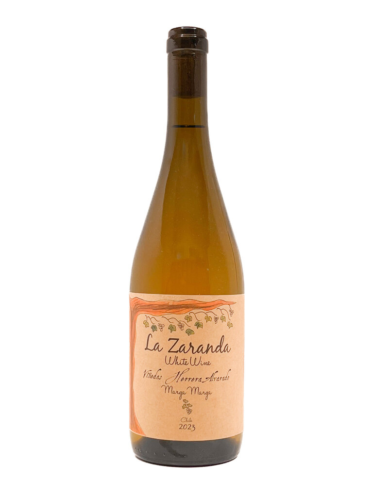 Wine-White-Crisp Herrera Alvarado 'La Zaranda' Sauvignon Blanc Valle Marga Marga 2023