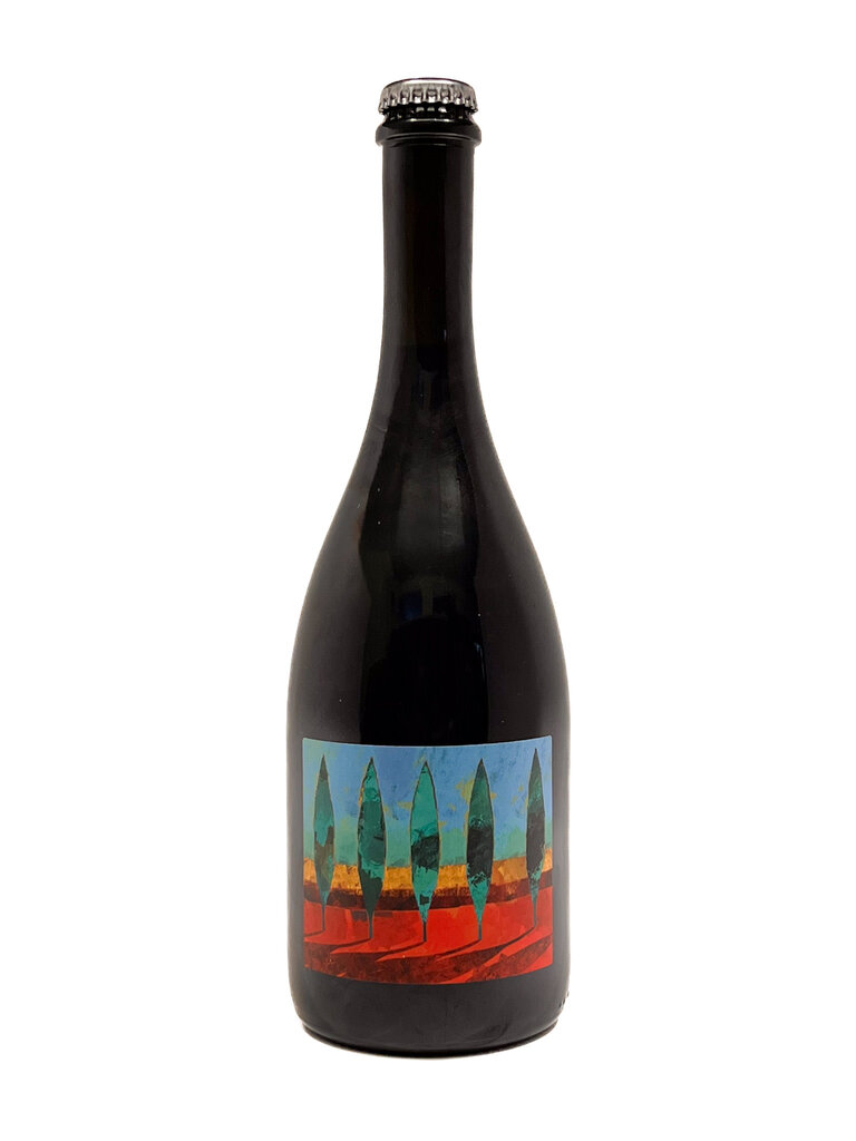 Wine-Sparkling-Italy Terrevive 'No Autoclave' Lambrusco dell'Emilia Rosso IGT 2022