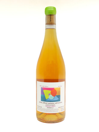 Wine-Orange/Skin-fermented Camuna Cellars Vidal Blanc New Jersey 2024 Wine-Orange/Skin-fermented Camuna Cellars Vidal Blanc New Jersey 2024
