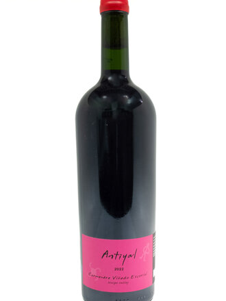 Wine-Red-Big Antiyal Vinedo Escorial Carmenere  Valle del Maipo 2022