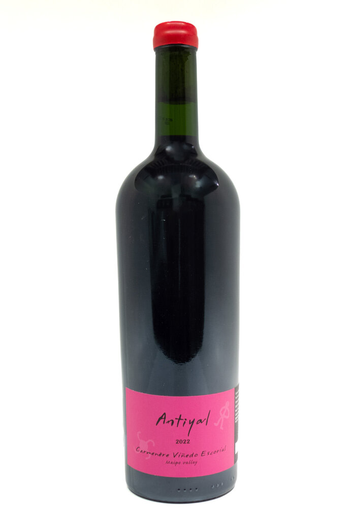 Wine-Red-Big Antiyal Vinedo Escorial Carmenère  Valle del Maipo 2022
