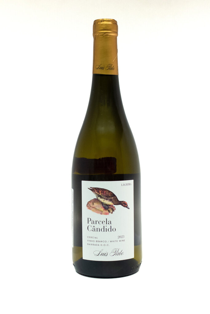 Wine-White-Round Luis Pato 'Parcela Cândido' Cercial Bairrada DOC 2023