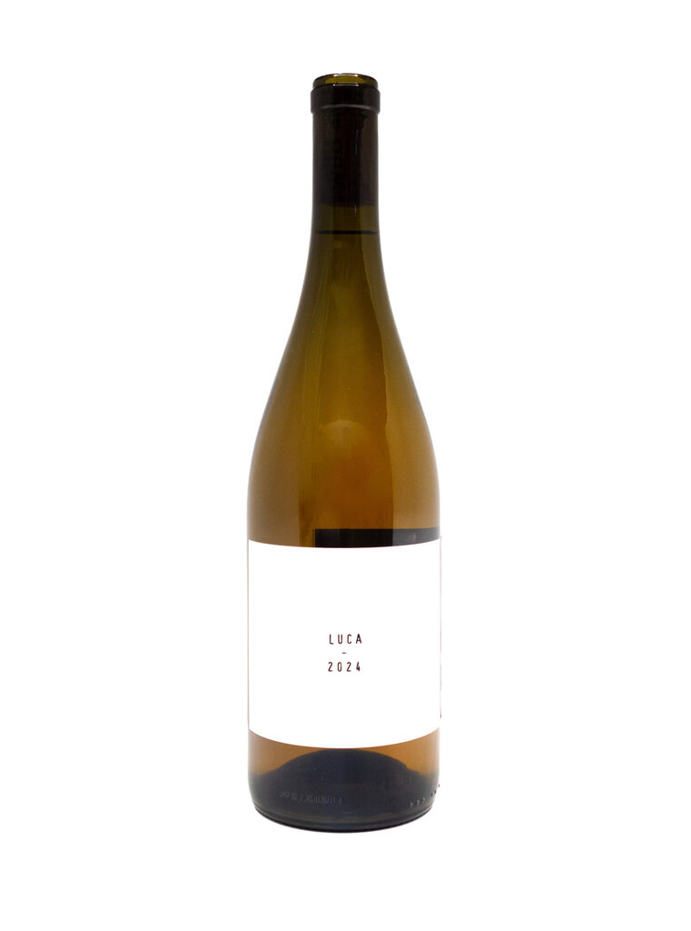 Wine-Orange/Skin-fermented Wild Arc Farm 'Luca' Traminette Finger Lakes 2024