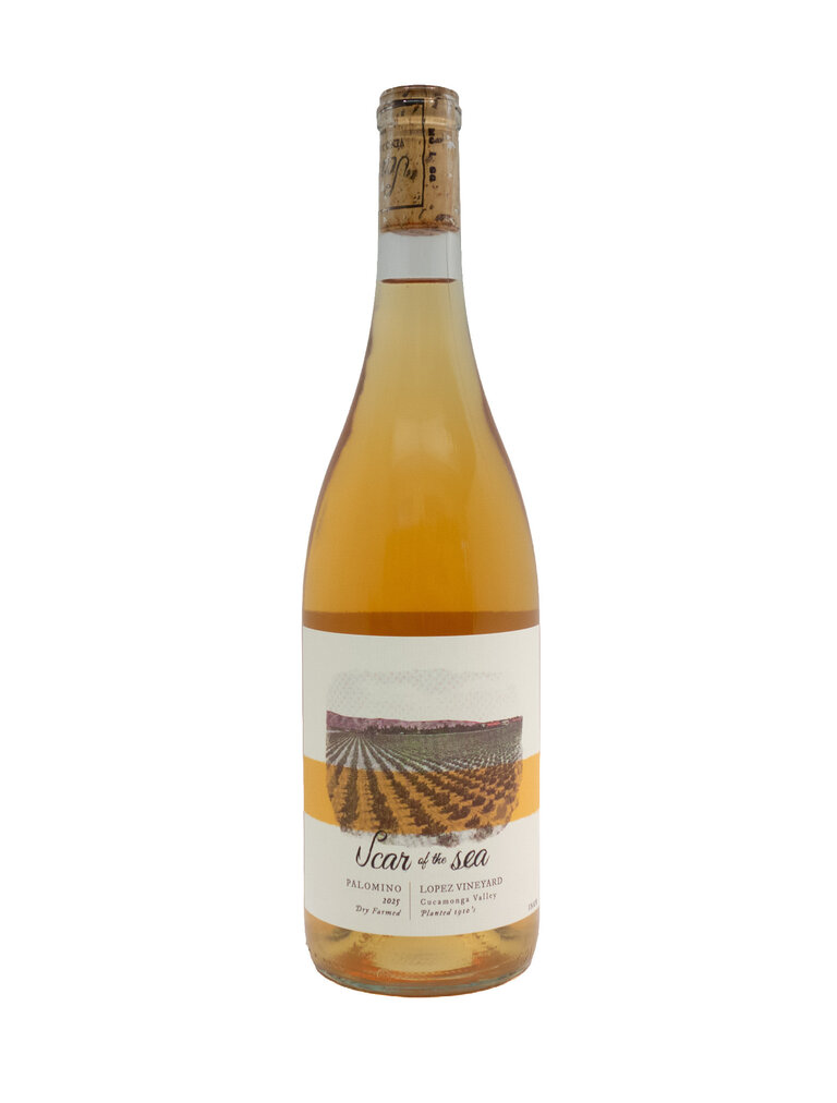 Wine-Orange/Skin-fermented Scar of the Sea Palomino Cucamonga Valley Lopez Vineyard 2025