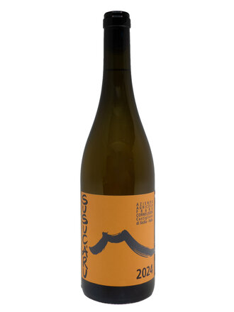 Wine-Orange/Skin-fermented Frank Cornelissen 'Susucaru Patos' Terre Siciliane IGP 2024