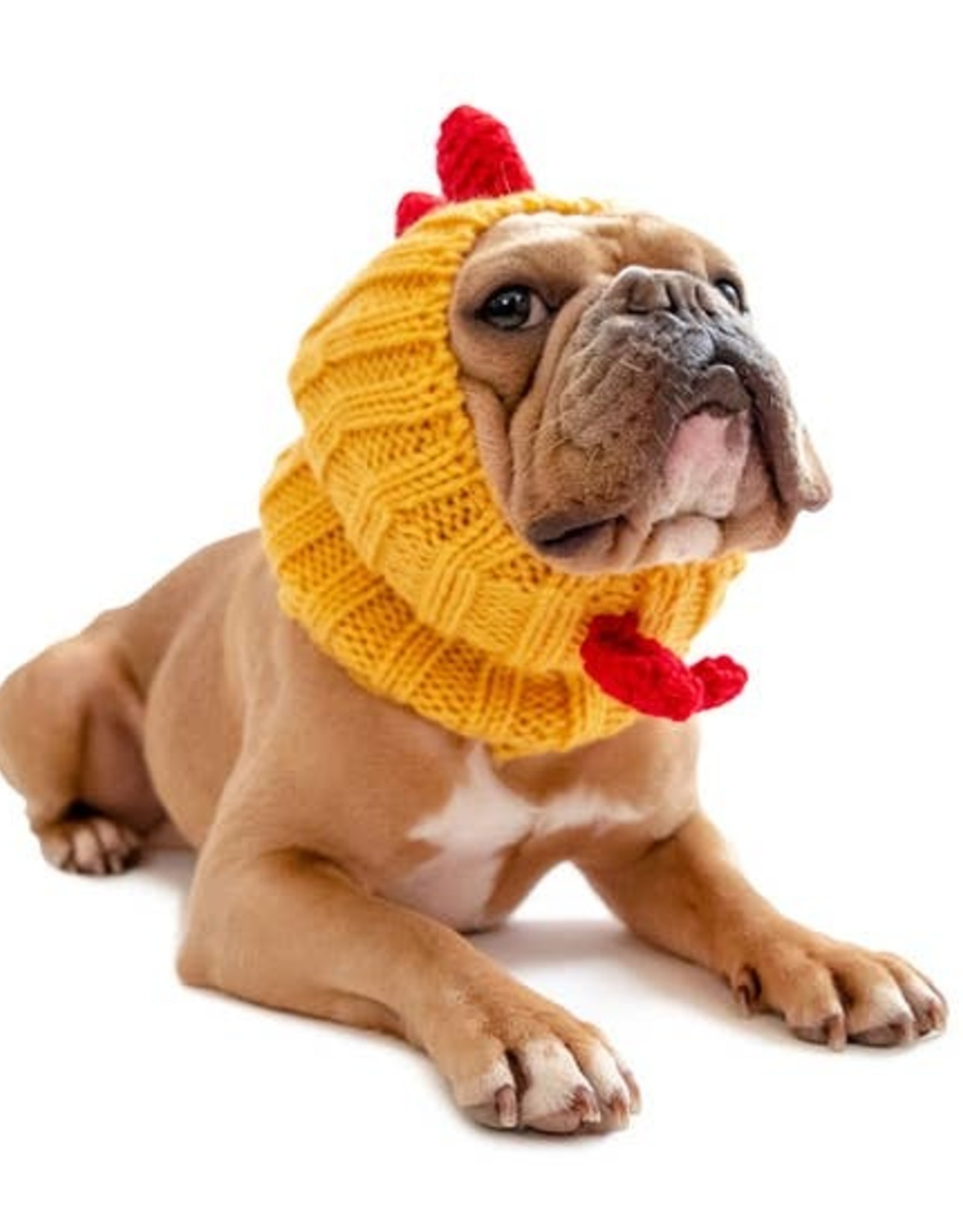 snood for dogs snood for dogs