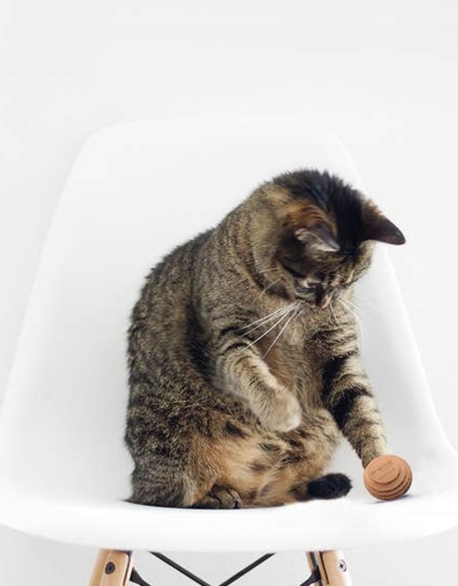 AmeriCat Cardboard Cat Ball