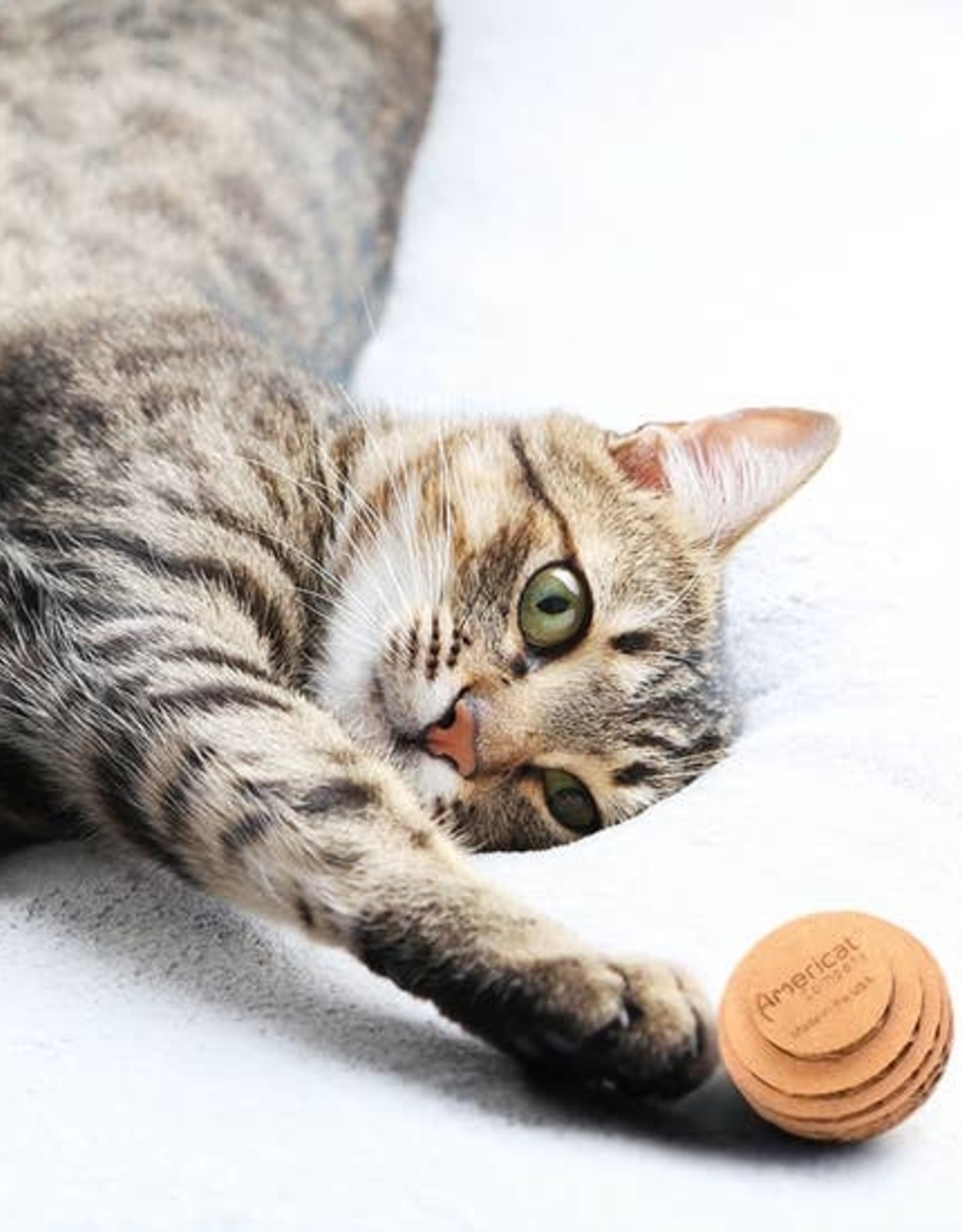 AmeriCat Cardboard Cat Ball