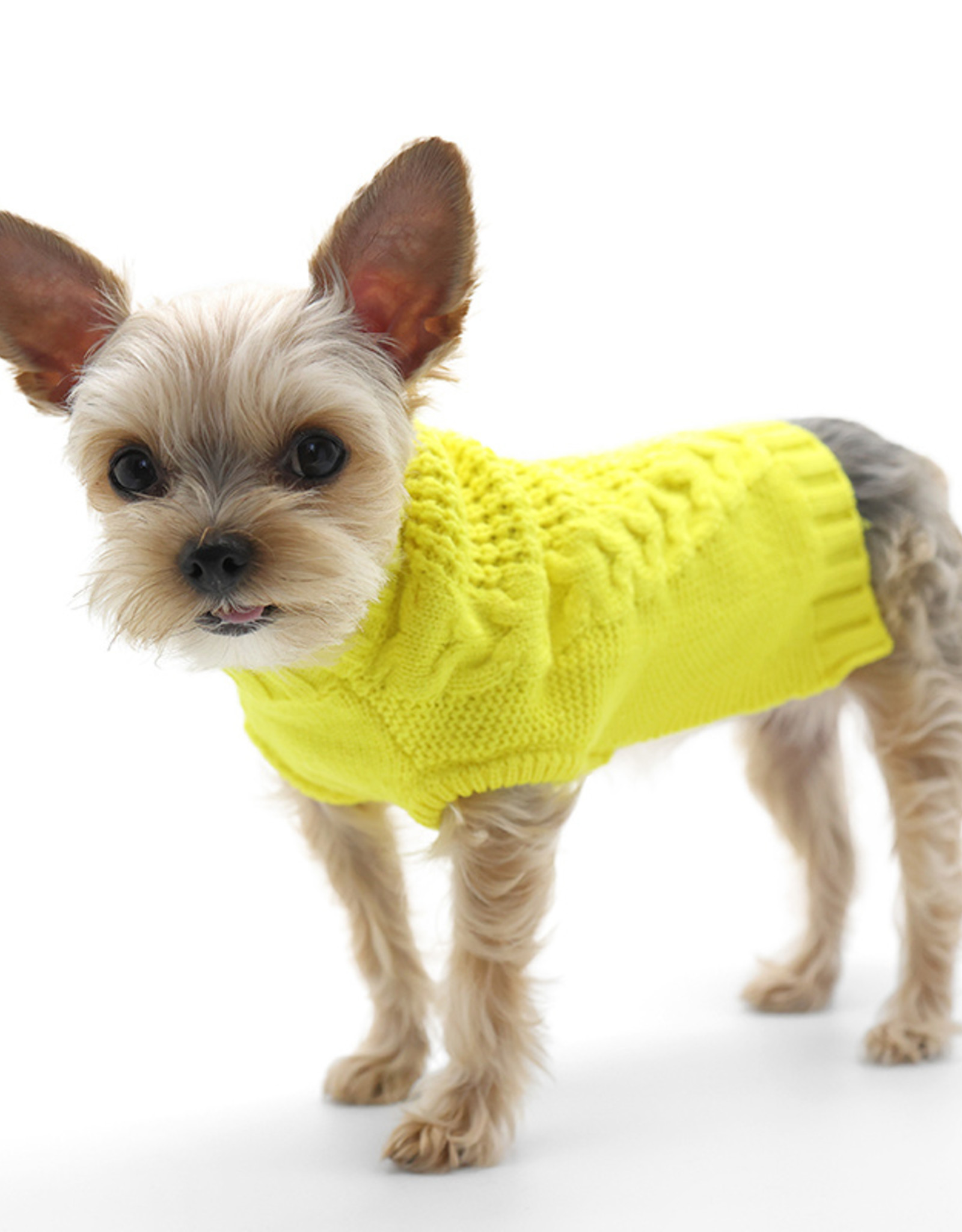 dogo pet fashions
