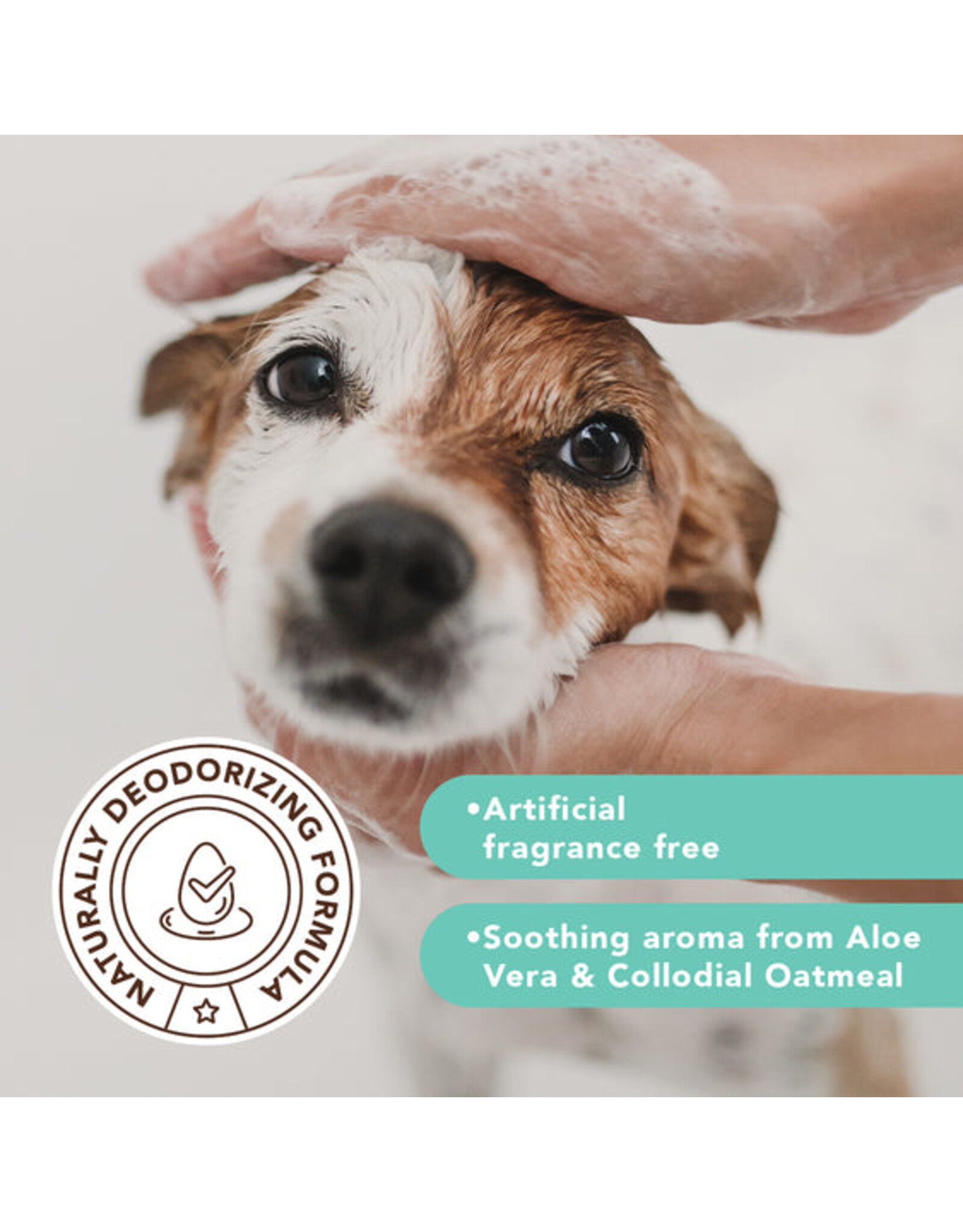 Natural Dog Co. Sensitive Skin Shampoo 12oz