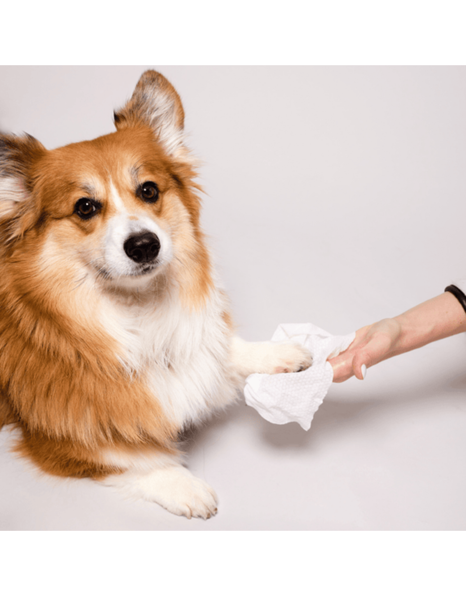 Natural Dog Co. Grooming Wipes 50ct