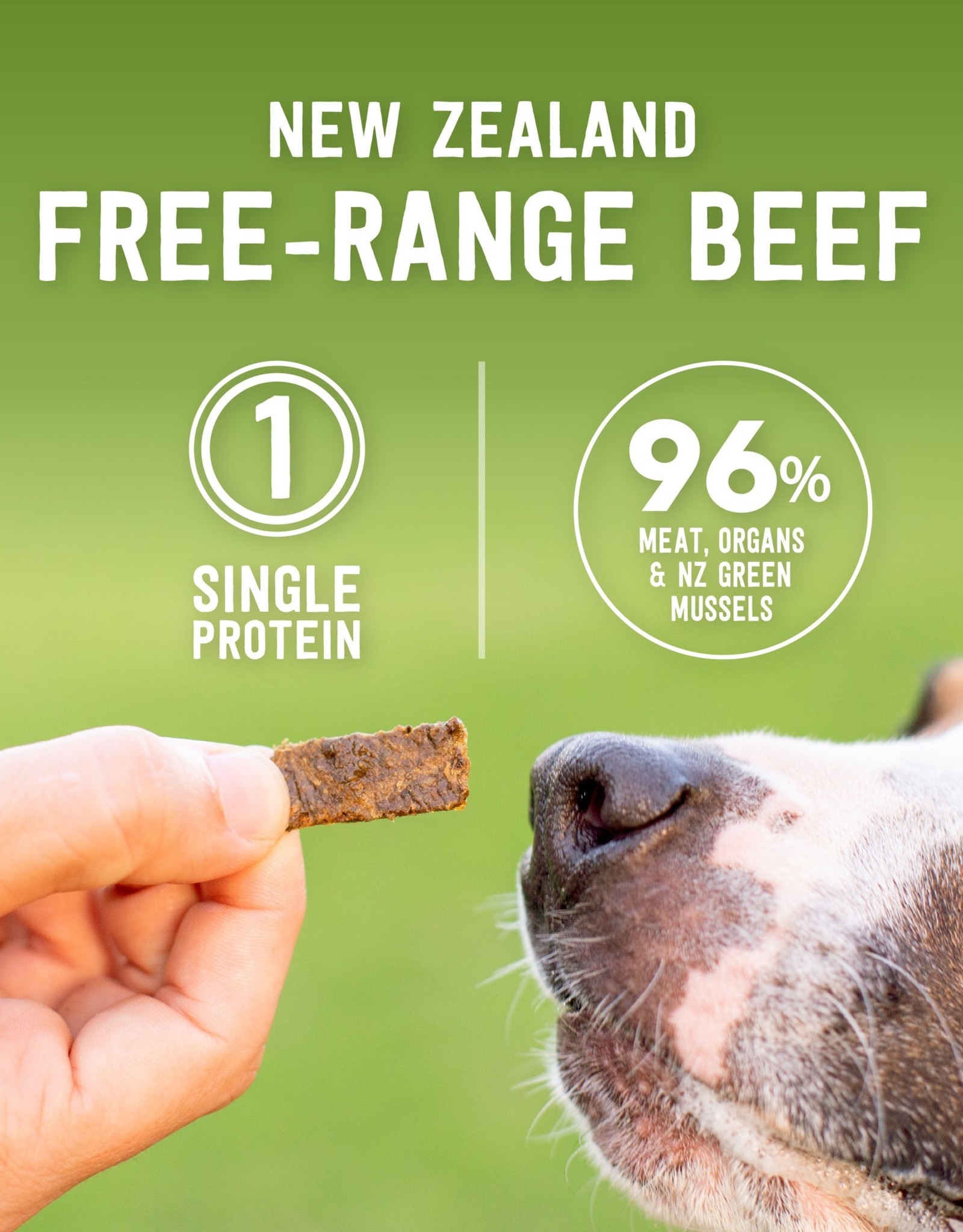 Ziwi Peak Treat Beef 3oz Dog Dish