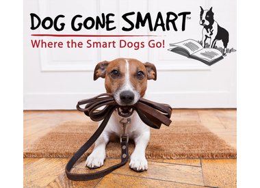 Dog Gone Smart