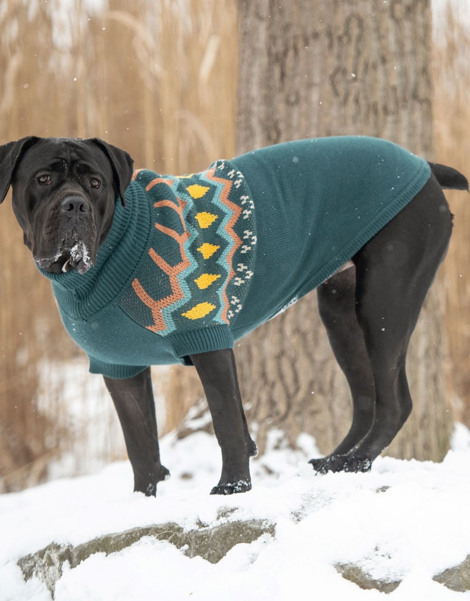 GF Pet Teal Heritage Sweater