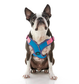 Gooby Turquoise Comfort X Step-In Harness