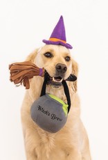 Zippy Paws Witch Costume