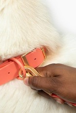 Lucy & Co Everyday Coral Collar